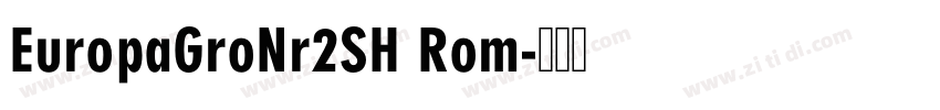 EuropaGroNr2SH Rom字体转换